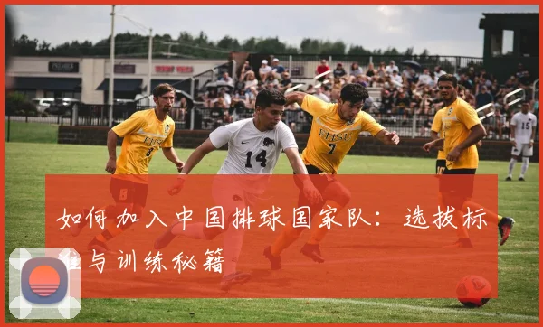 如何加入中国排球国家队：选拔标准与训练秘籍