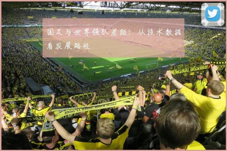 国足与世界强队差距：从技术数据看发展路径